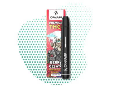 BERRY GELATO 79% THCv